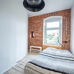 Historic Apartment Mikolaja Reja